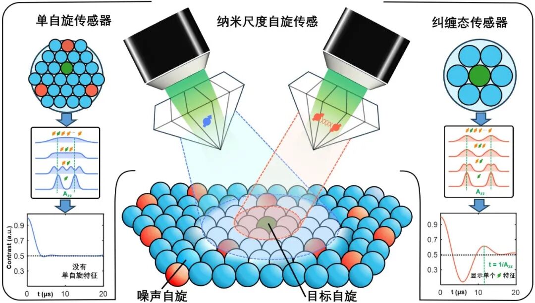 中国科学技术大学：实现纠缠增强纳米尺度单自旋量子传感