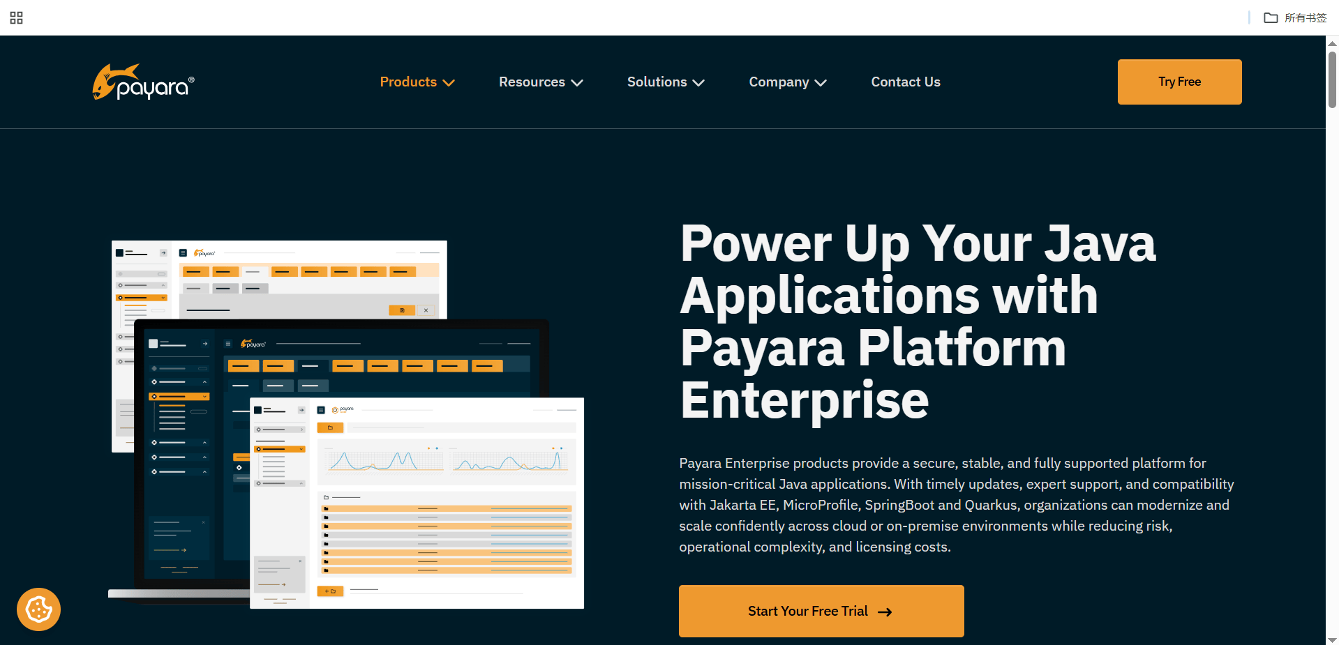 本地部署 Payara Server 公网访问